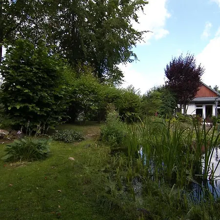 Wildblick